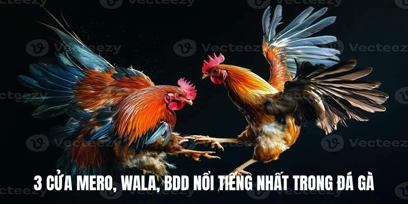 3 cửa Mero, Wala, BDD nổi tiếng nhất trong đá gà.